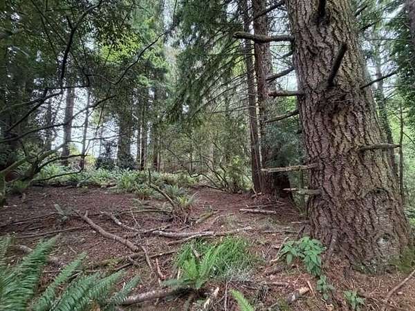 5.1 Acres of Residential Land for Sale in Eureka, California