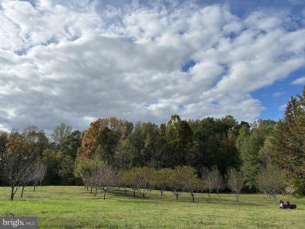 33.8 Acres of Land for Sale in Partlow, Virginia