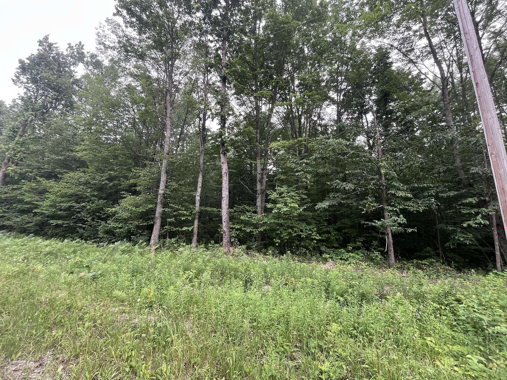 0.53 Acres of Residential Land for Sale in Elmira, Michigan