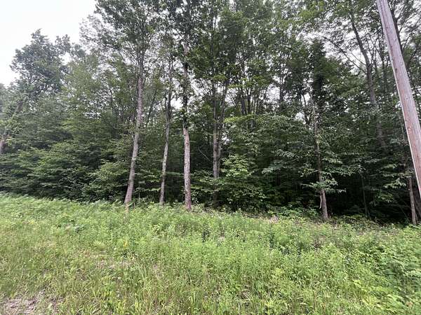 0.53 Acres of Residential Land for Sale in Elmira, Michigan