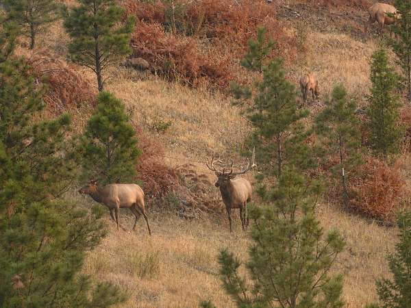 160 Acres of Land with Home for Sale in Helena, Montana