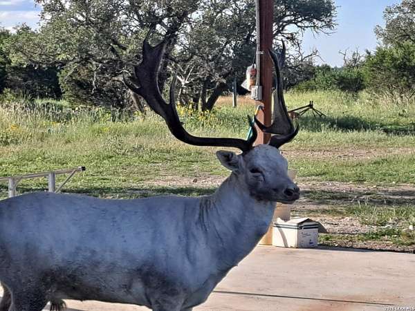 59.4 Acres of Recreational Land with Home for Sale in Rocksprings, Texas