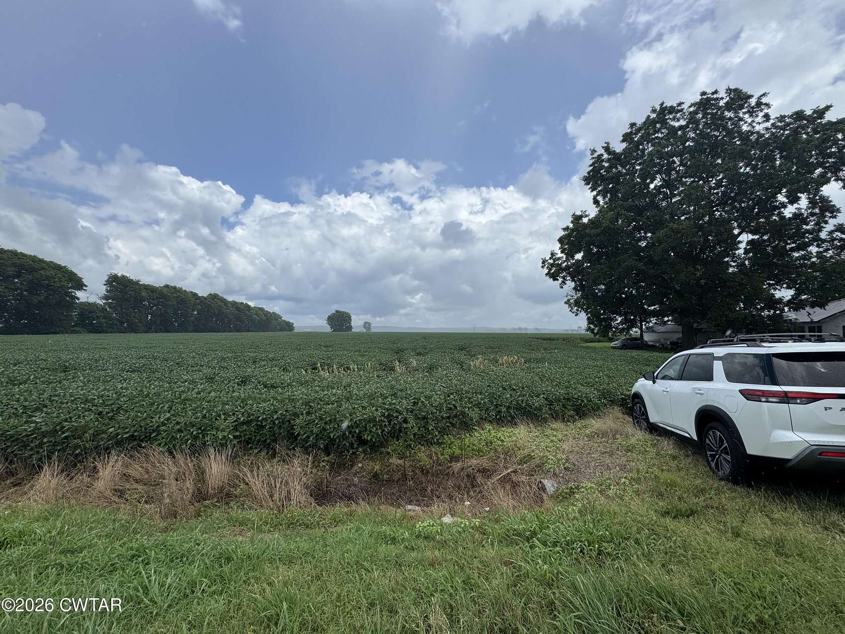 0.98 Acres of Residential Land for Sale in Ridgely, Tennessee