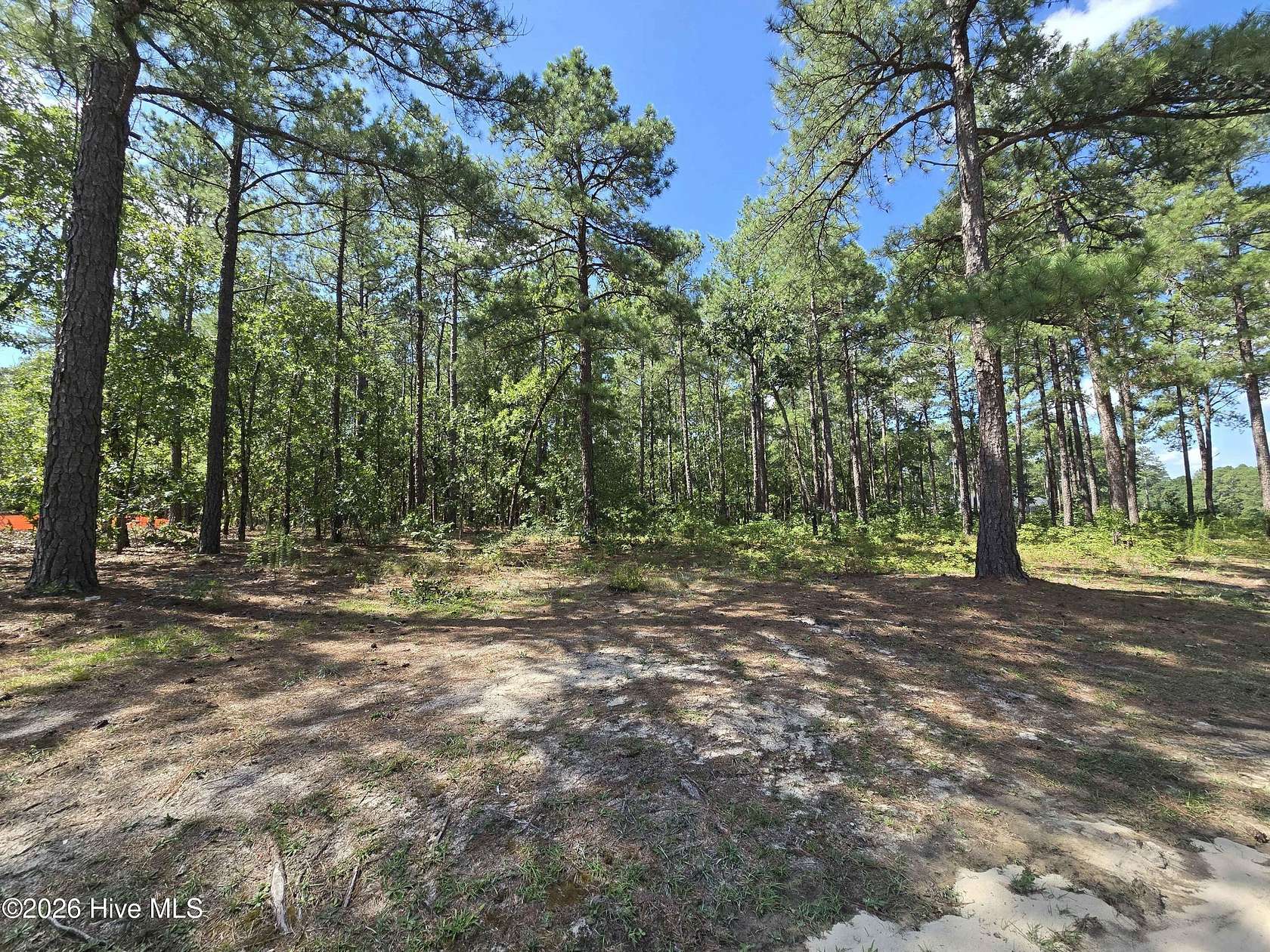 0.47 Acres of Residential Land for Sale in Wagram, North Carolina