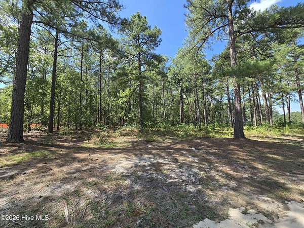 0.47 Acres of Residential Land for Sale in Wagram, North Carolina