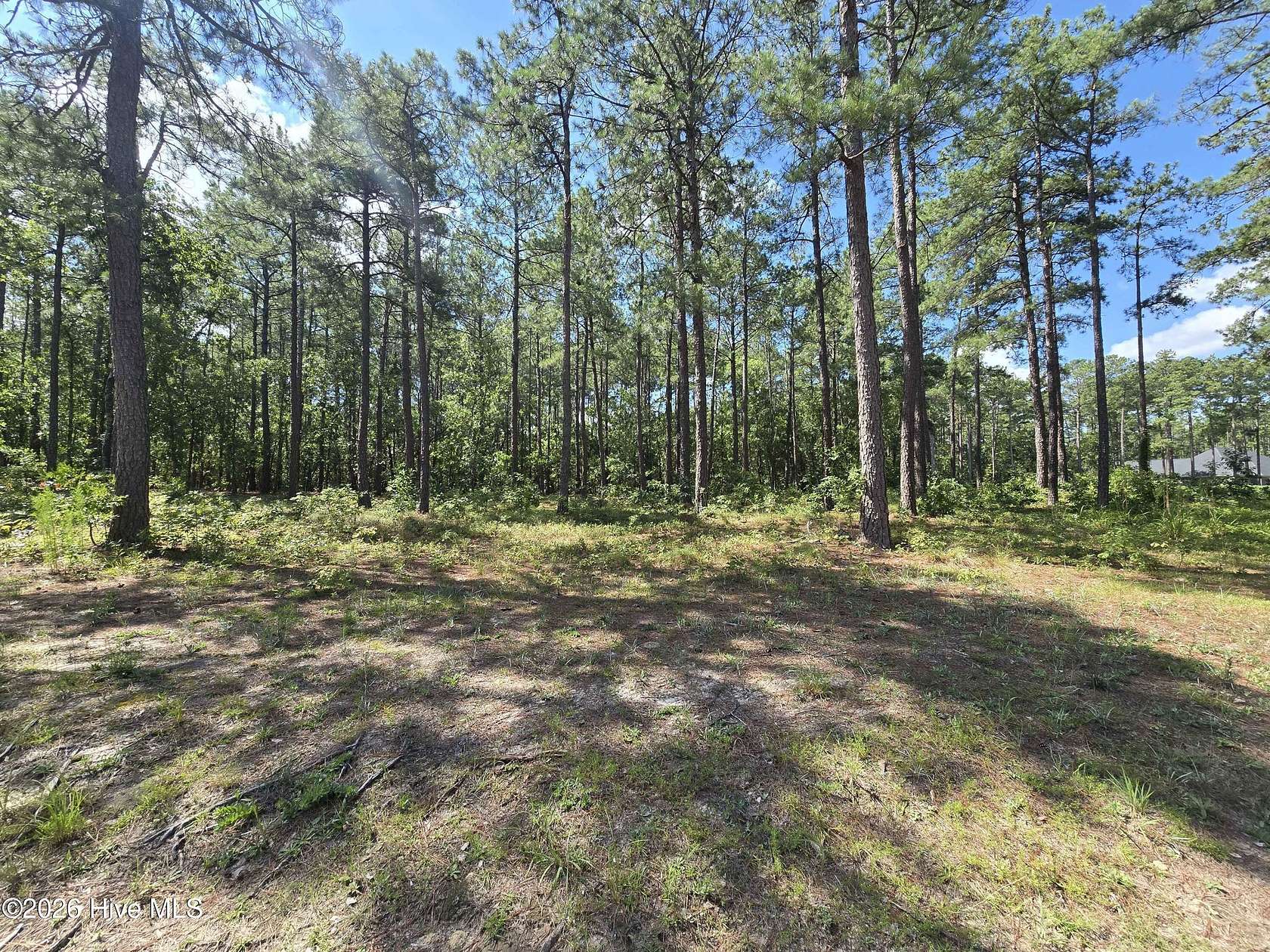 0.57 Acres of Residential Land for Sale in Wagram, North Carolina