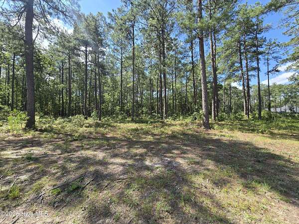 0.57 Acres of Residential Land for Sale in Wagram, North Carolina