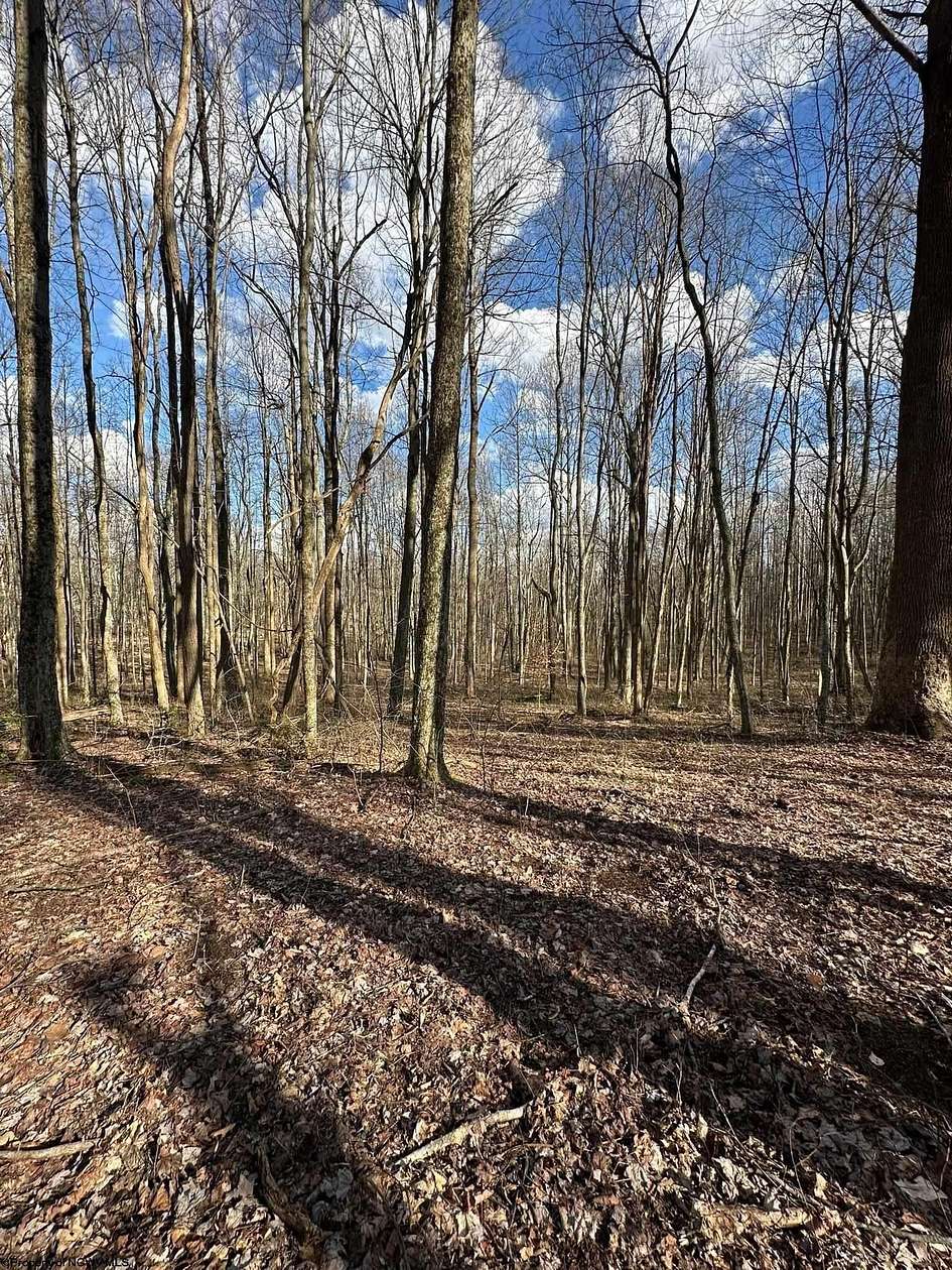 7 Acres of Land for Sale in Grafton, West Virginia