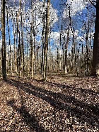 7 Acres of Land for Sale in Grafton, West Virginia