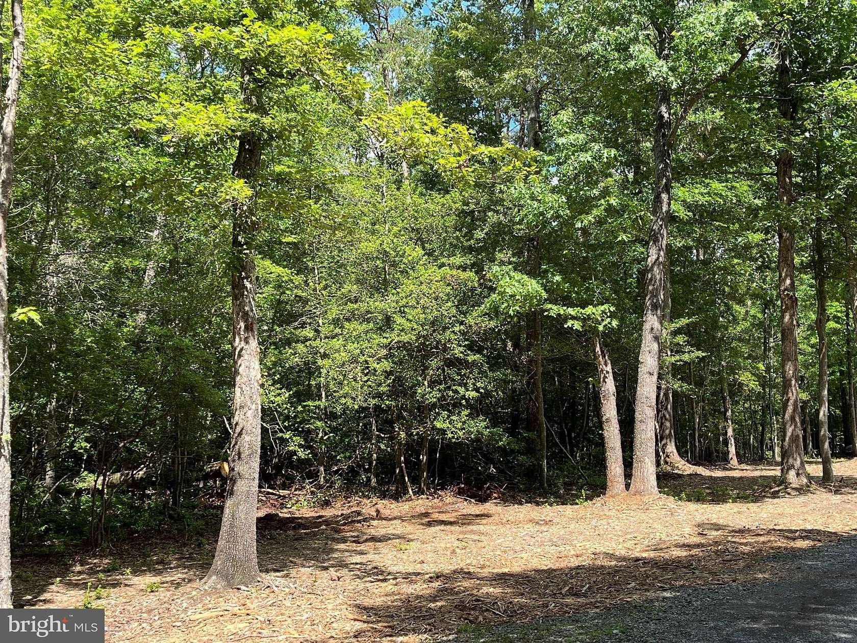 1.6 Acres of Residential Land for Sale in King George, Virginia