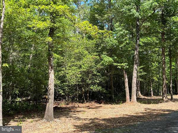 1.6 Acres of Residential Land for Sale in King George, Virginia