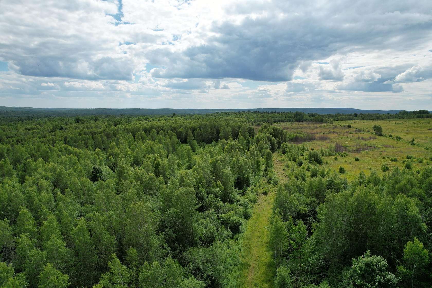45 Acres of Land for Sale in Charlotte, Maine