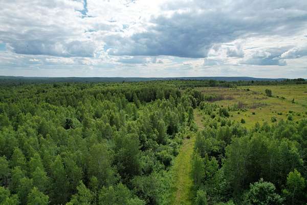 45 Acres of Land for Sale in Charlotte, Maine