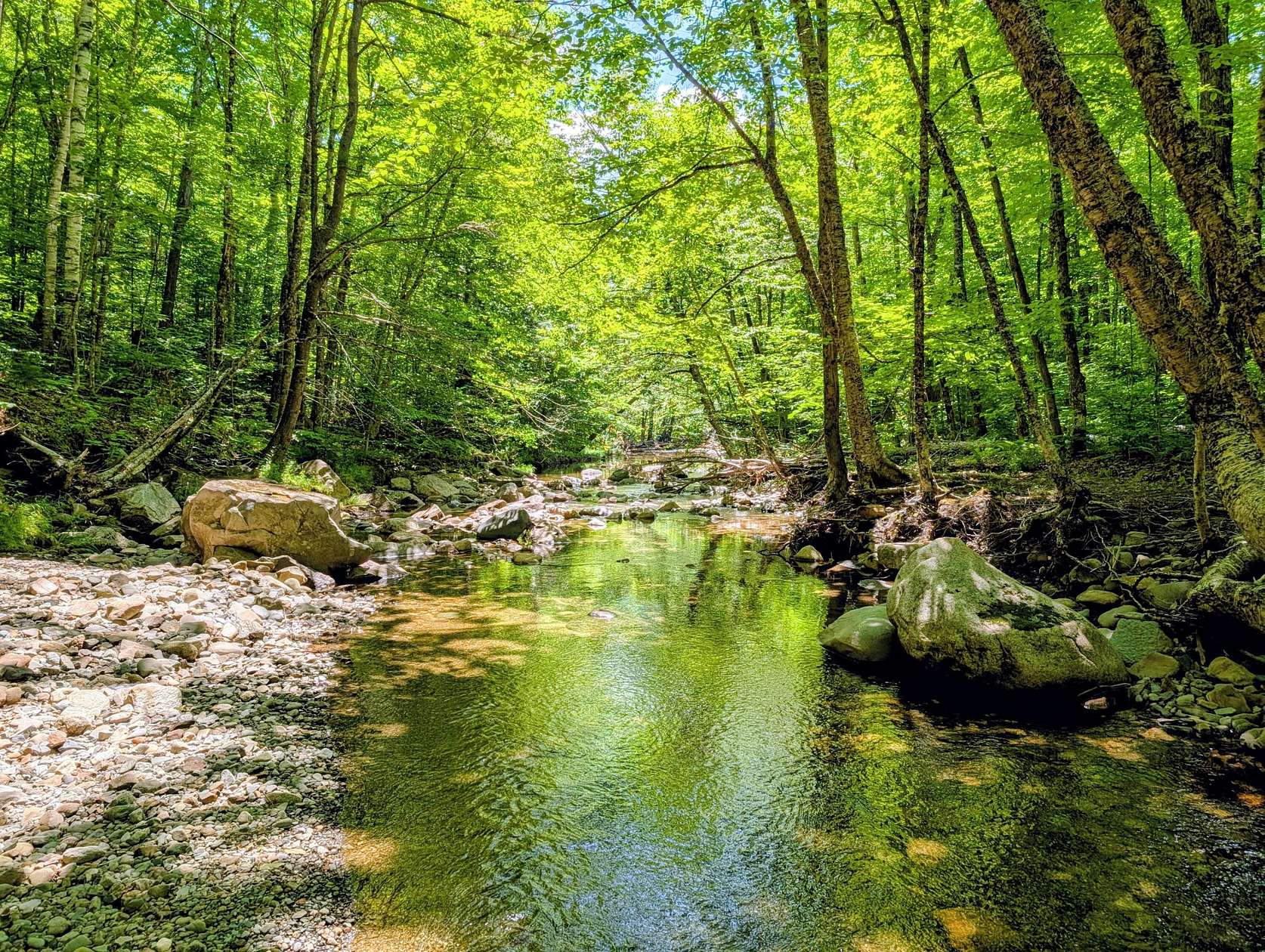 54.1 Acres of Recreational & Residential Land for Sale in Madrid, Maine
