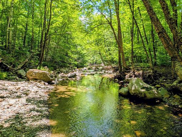 54.1 Acres of Recreational & Residential Land for Sale in Madrid, Maine