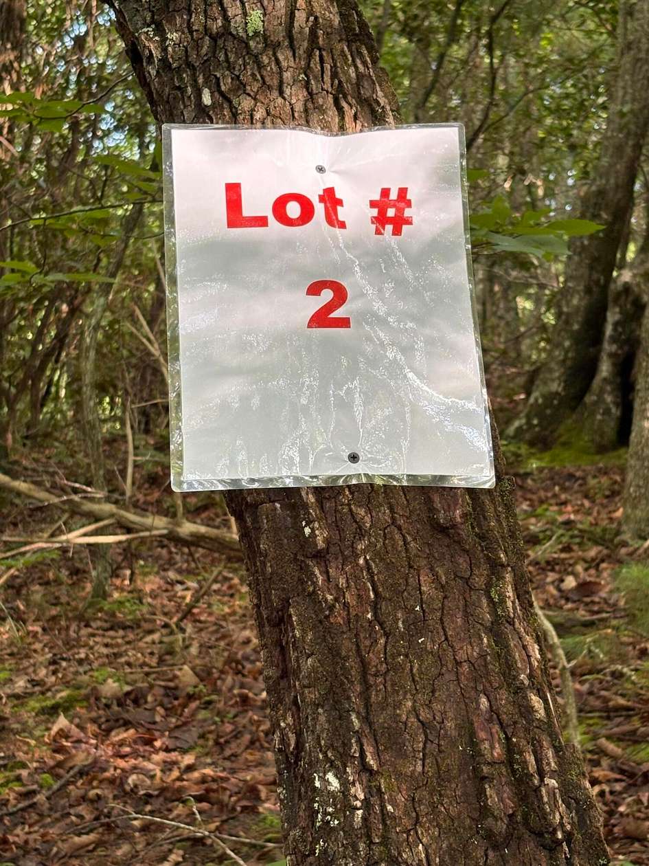 18.1 Acres of Recreational Land for Sale in Tellico Plains, Tennessee