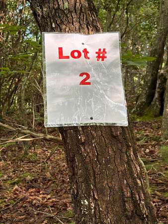 18.1 Acres of Recreational Land for Sale in Tellico Plains, Tennessee