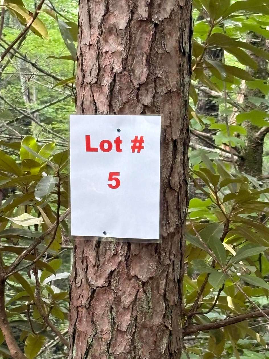 21.3 Acres of Recreational Land for Sale in Tellico Plains, Tennessee