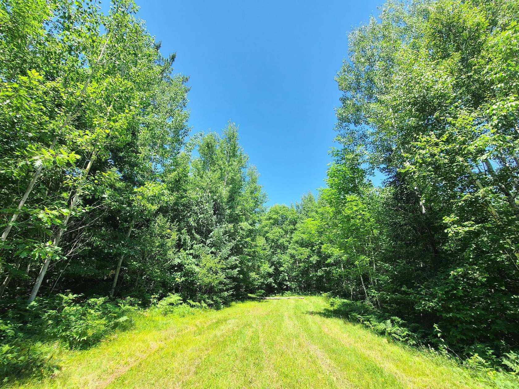 78.7 Acres of Land for Sale in Fifield, Wisconsin