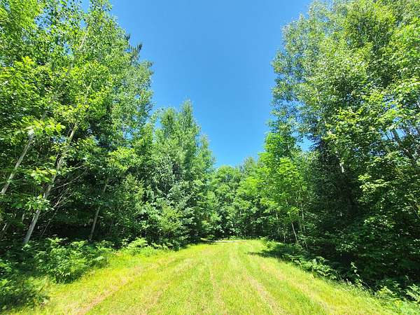 78.7 Acres of Land for Sale in Fifield, Wisconsin