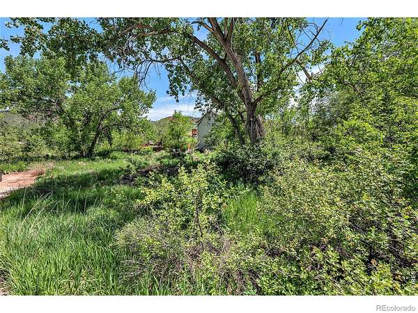 0.38 Acres of Residential Land for Sale in Fort Collins, Colorado