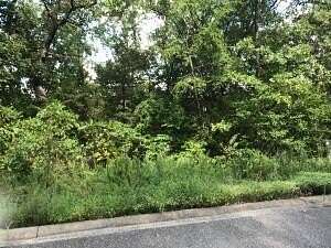 0.21 Acres of Residential Land for Sale in Hollister, Missouri