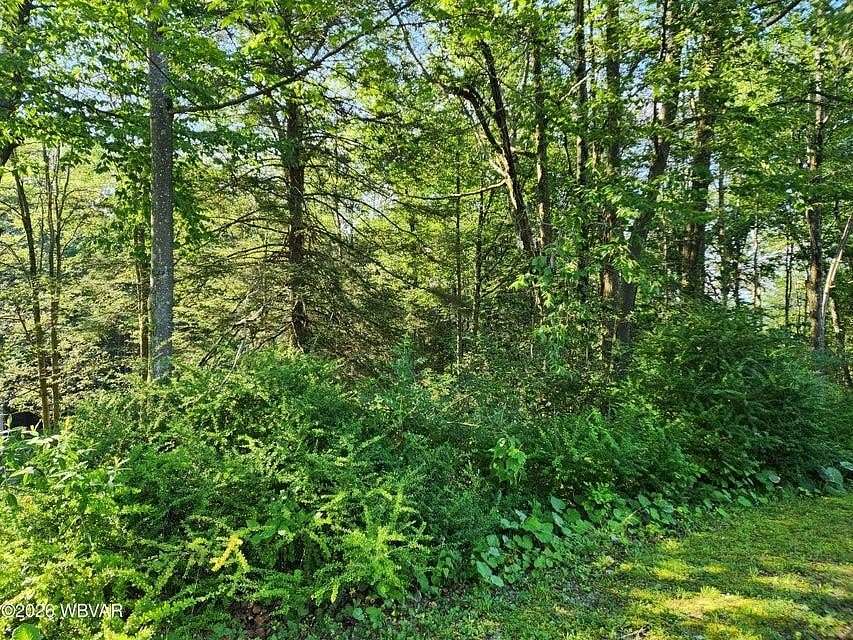 1 Acre of Residential Land for Sale in Eagles Mere, Pennsylvania