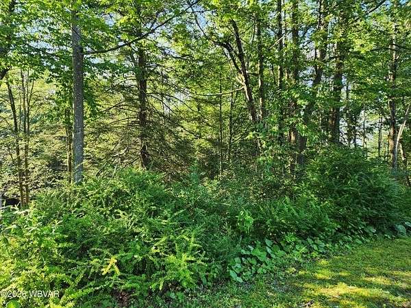 1 Acre of Residential Land for Sale in Eagles Mere, Pennsylvania