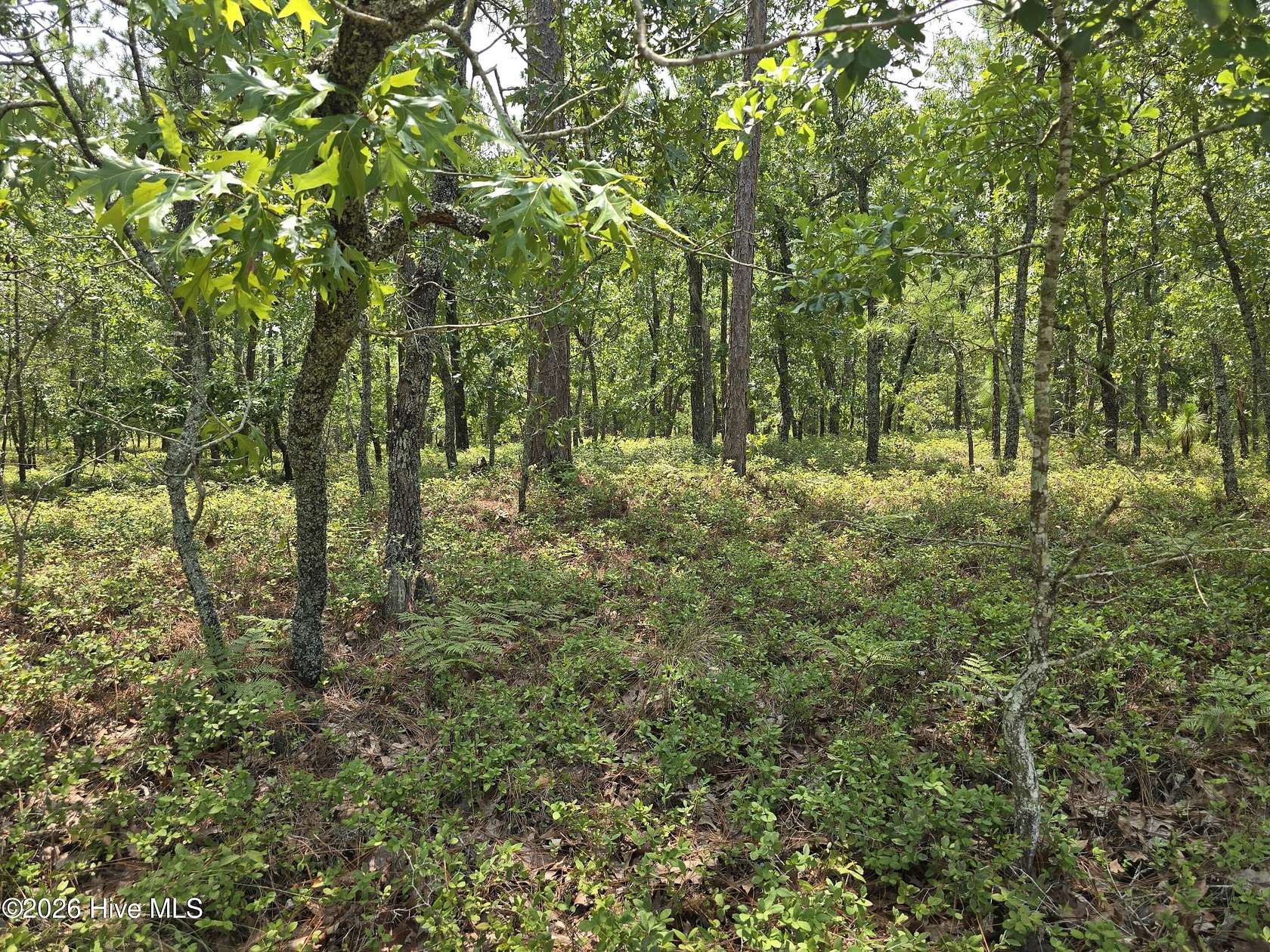 1.12 Acres of Residential Land for Sale in Grantsboro, North Carolina