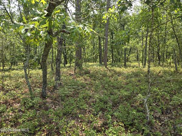 1.12 Acres of Residential Land for Sale in Grantsboro, North Carolina