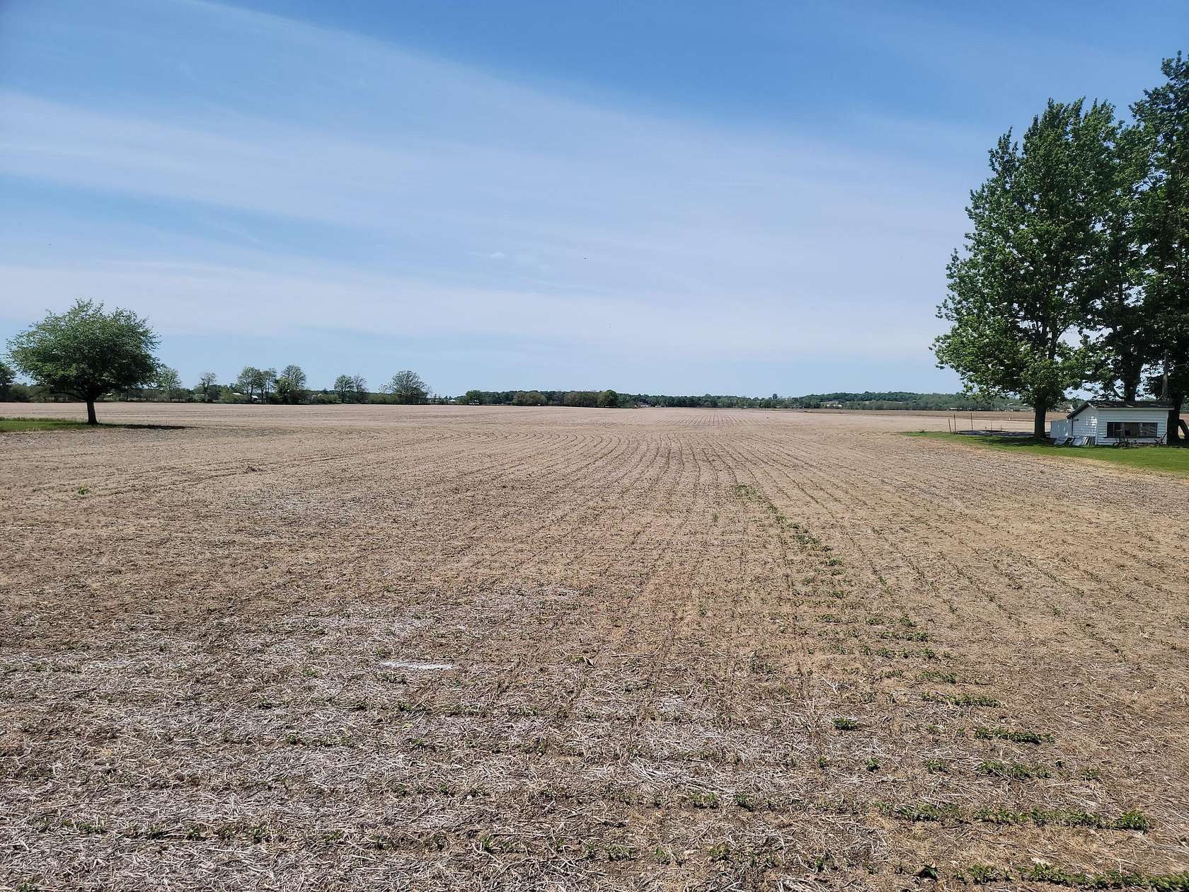 19 Acres of Land for Sale in Bronson, Michigan