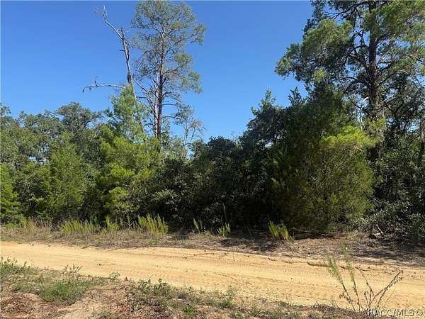 0.23 Acres of Residential Land for Sale in Inverness, Florida