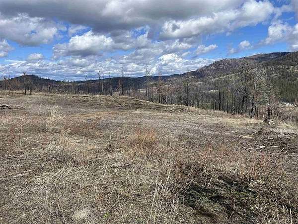 25.1 Acres of Recreational & Residential Land for Sale in Springdale, Washington