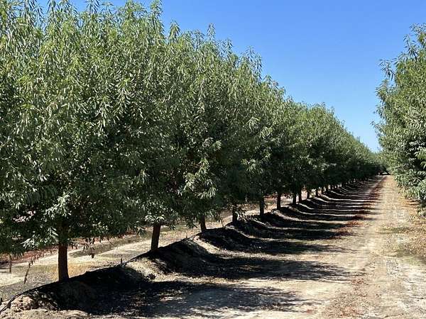 93.5 Acres of Land for Sale in Del Rey, California