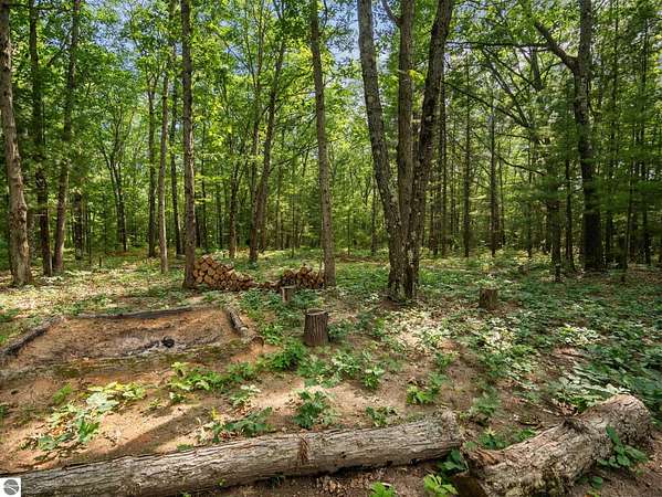 0.37 Acres of Residential Land for Sale in Interlochen, Michigan