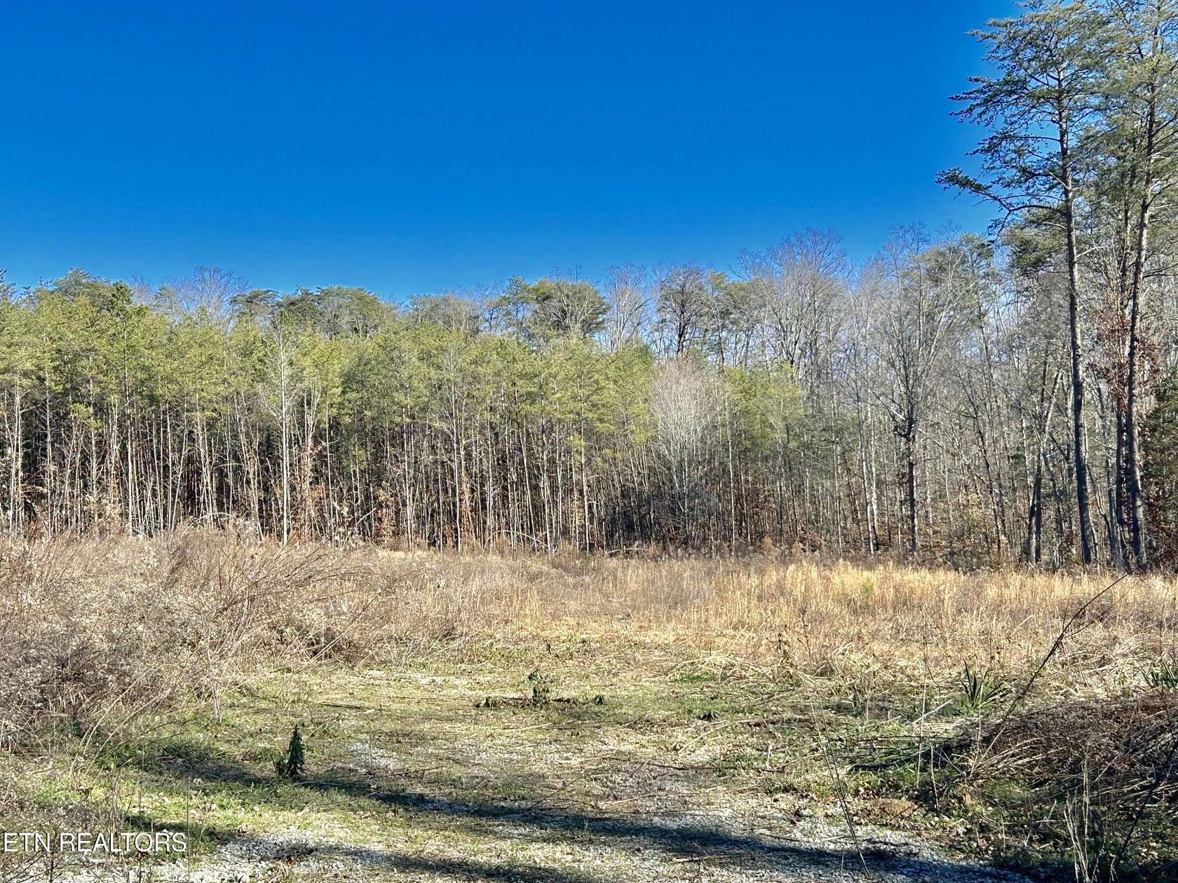 5 Acres of Residential Land for Sale in Tellico Plains, Tennessee