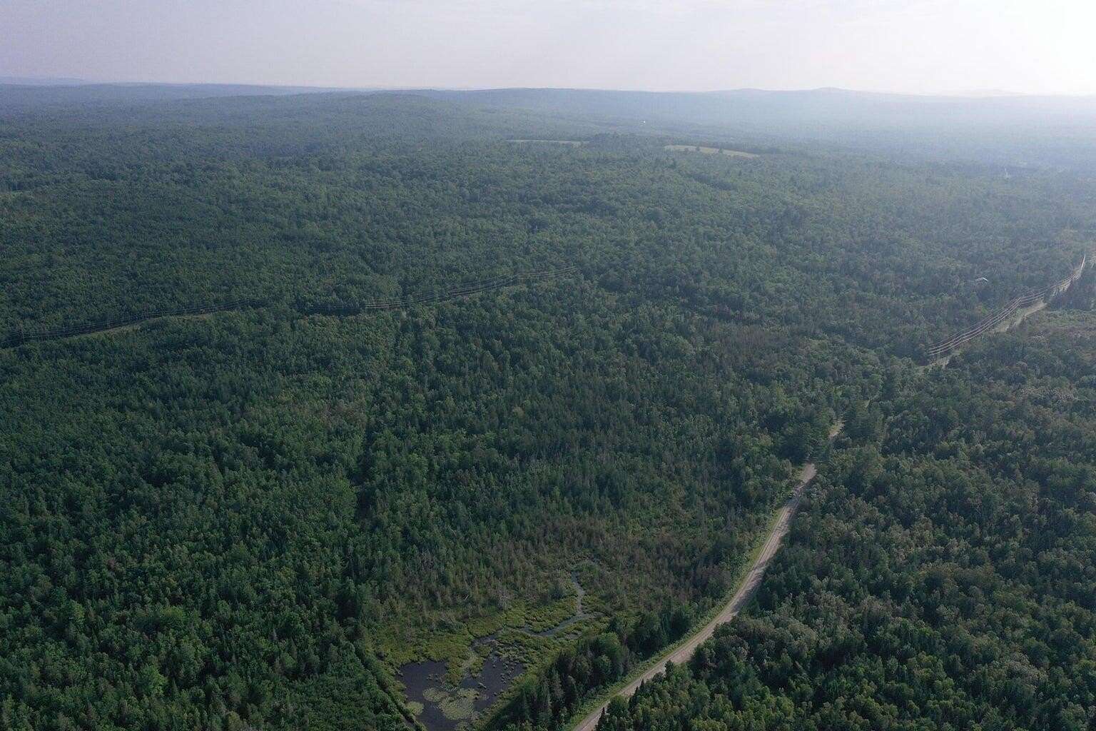 39.5 Acres of Recreational & Residential Land for Sale in Abbot, Maine