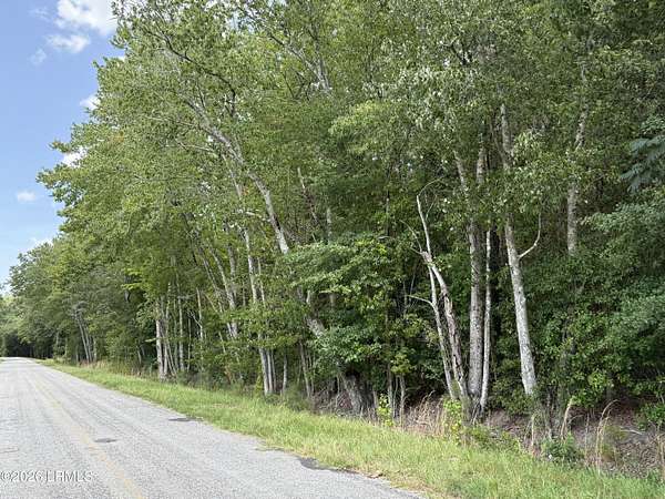 6 Acres of Land for Sale in Pineland, South Carolina