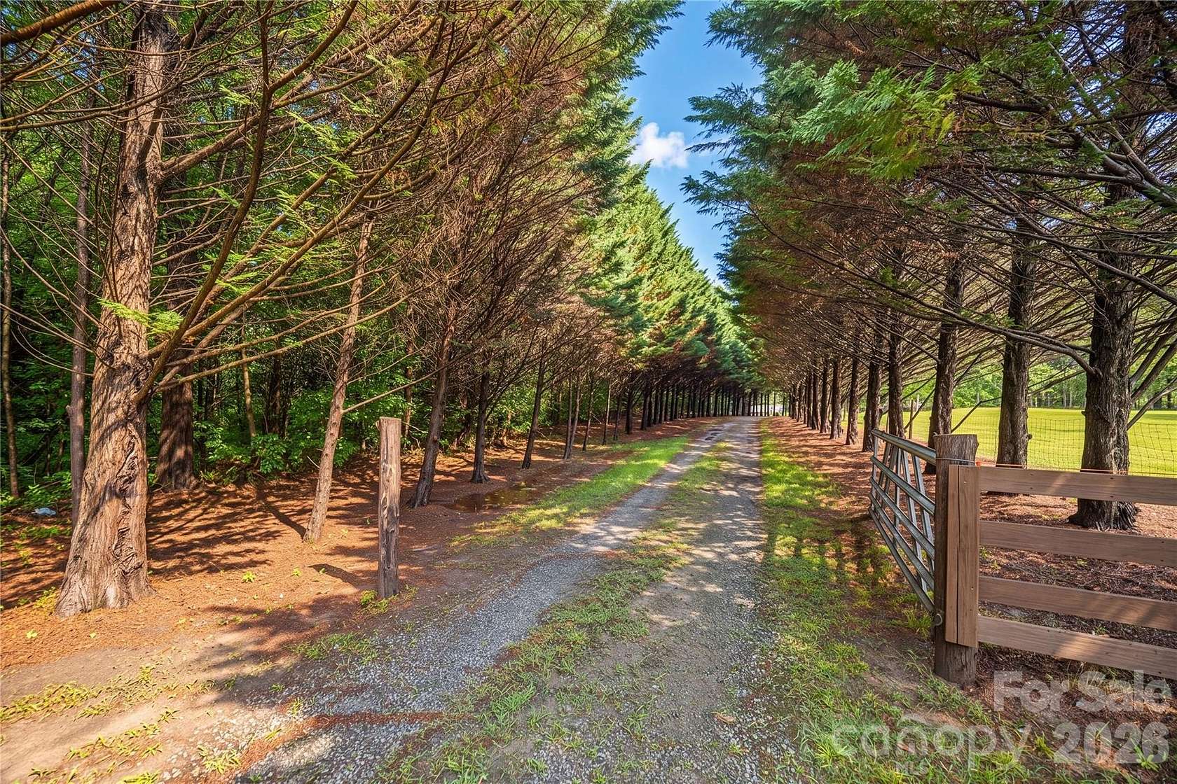 10.7 Acres of Land with Home for Sale in Alexis, North Carolina