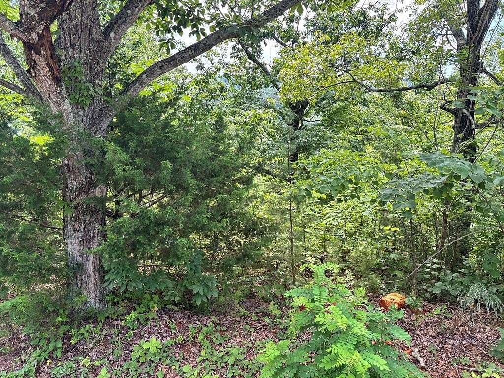Residential Land for Sale in Allons, Tennessee