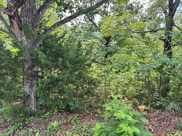 Residential Land for Sale in Allons, Tennessee