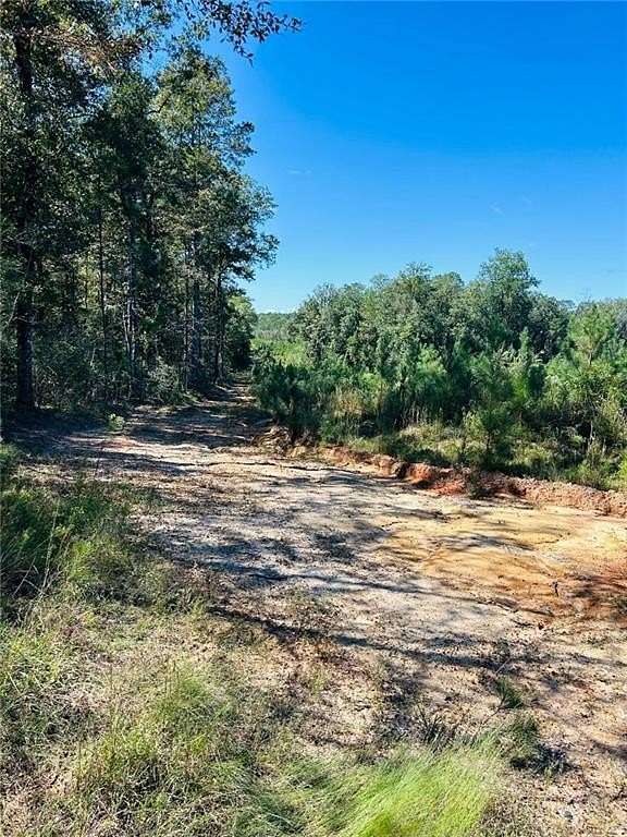 40 Acres of Recreational & Residential Land for Sale in Chunchula, Alabama