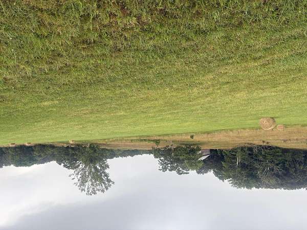 145 Acres of Land for Sale in Cadiz, Kentucky