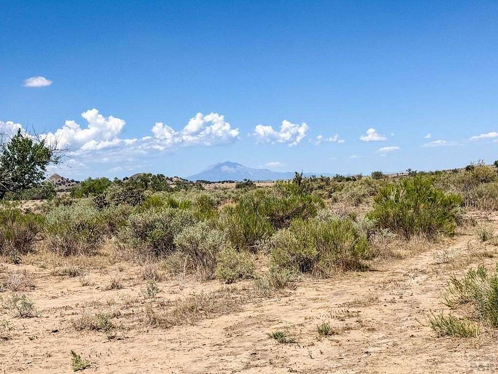 120 Acres of Land for Sale in Model, Colorado