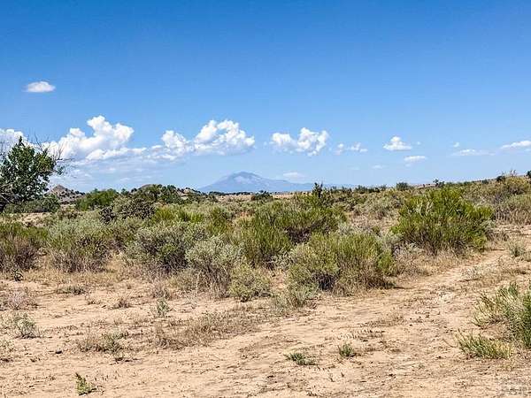 120 Acres of Land for Sale in Model, Colorado