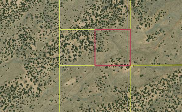 9.89 Acres of Land for Sale in St. Johns, Arizona