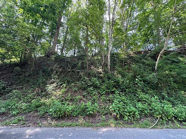 13.4 Acres of Land for Sale in Goode, Virginia