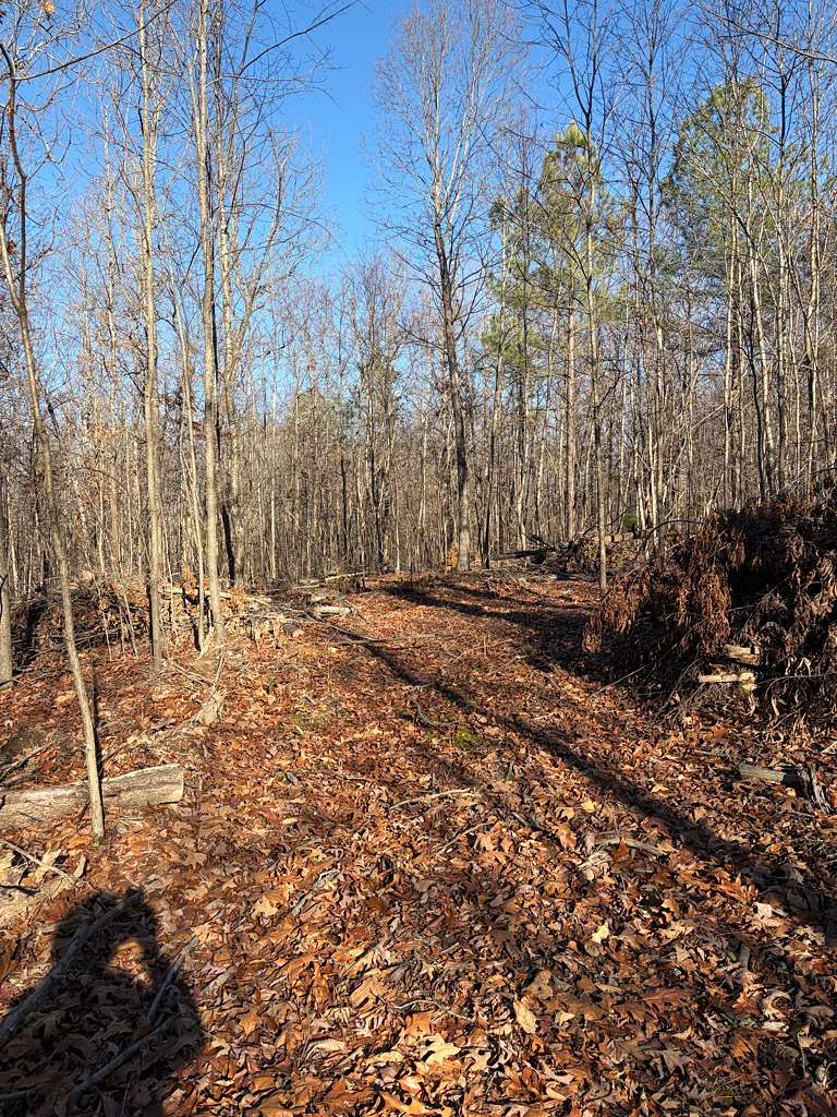 10.2 Acres of Land for Sale in Lyles, Tennessee