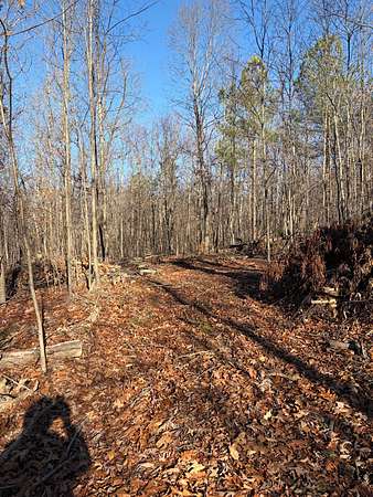 10.2 Acres of Land for Sale in Lyles, Tennessee