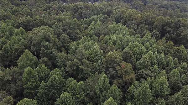 10.2 Acres of Land for Sale in Lyles, Tennessee